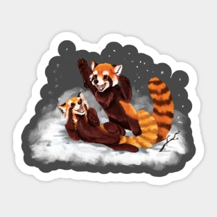 Red Pandas Playing in the Snow Sticker